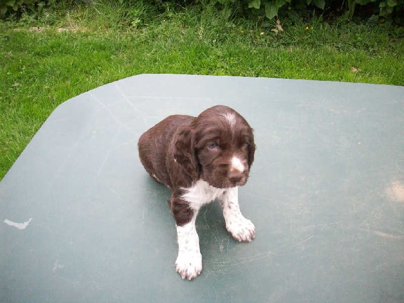 Jack